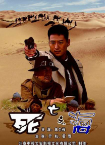 a级精品九九九大片免费看